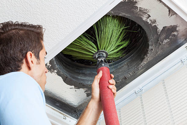 Best Local Air Duct Cleaning Services  in Leisure City, FL
